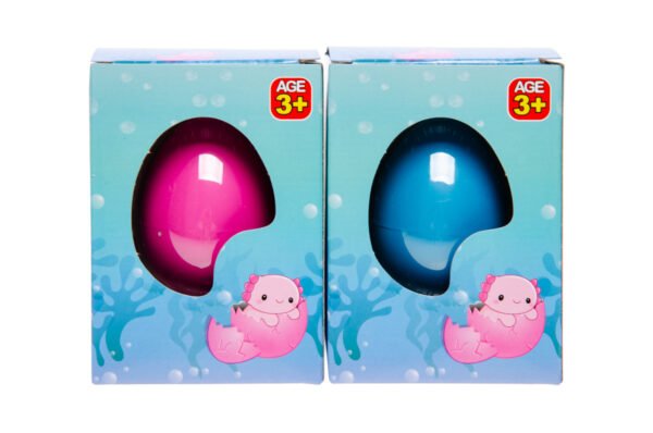 boite oeuf grossissant axolotl X 12 – Image 2