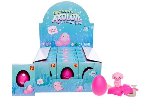 boite oeuf grossissant axolotl X 12