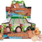boite oeuf grossissant capybara X 12