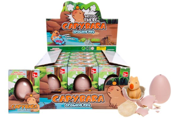 boite oeuf grossissant capybara X 12