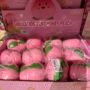 boite X 12 squishy pêche