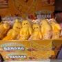 BOITE X 12 BANANE